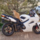 Illustration for article titled I rode 450 miles in one day on my VFR